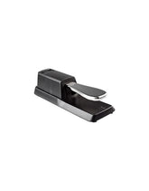 Havana WTB-005 Sustain Pedal – Taal Musicals